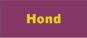 hond